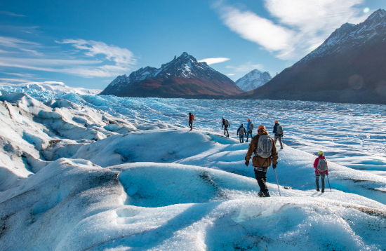 Ice Hike Grey Glacier